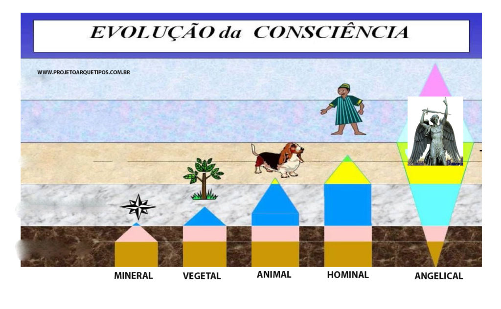 níveis consciência