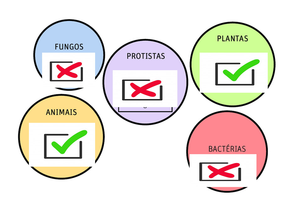 reinos-biologia