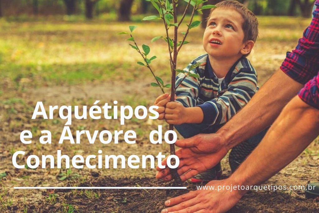 arvore-do-conhecimento